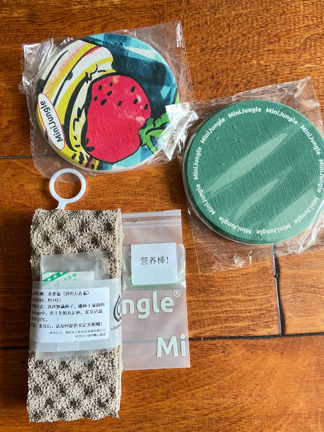 上海国际花卉展，羊毛去E1，买花草去E3&E4~