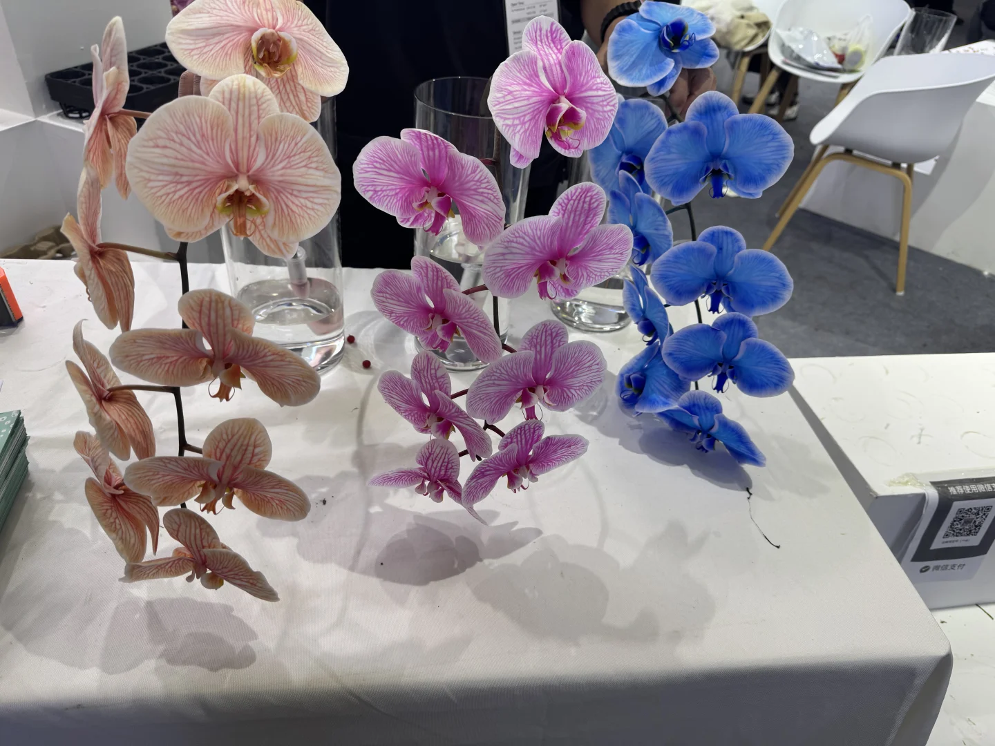 国际花卉园艺展览会，美