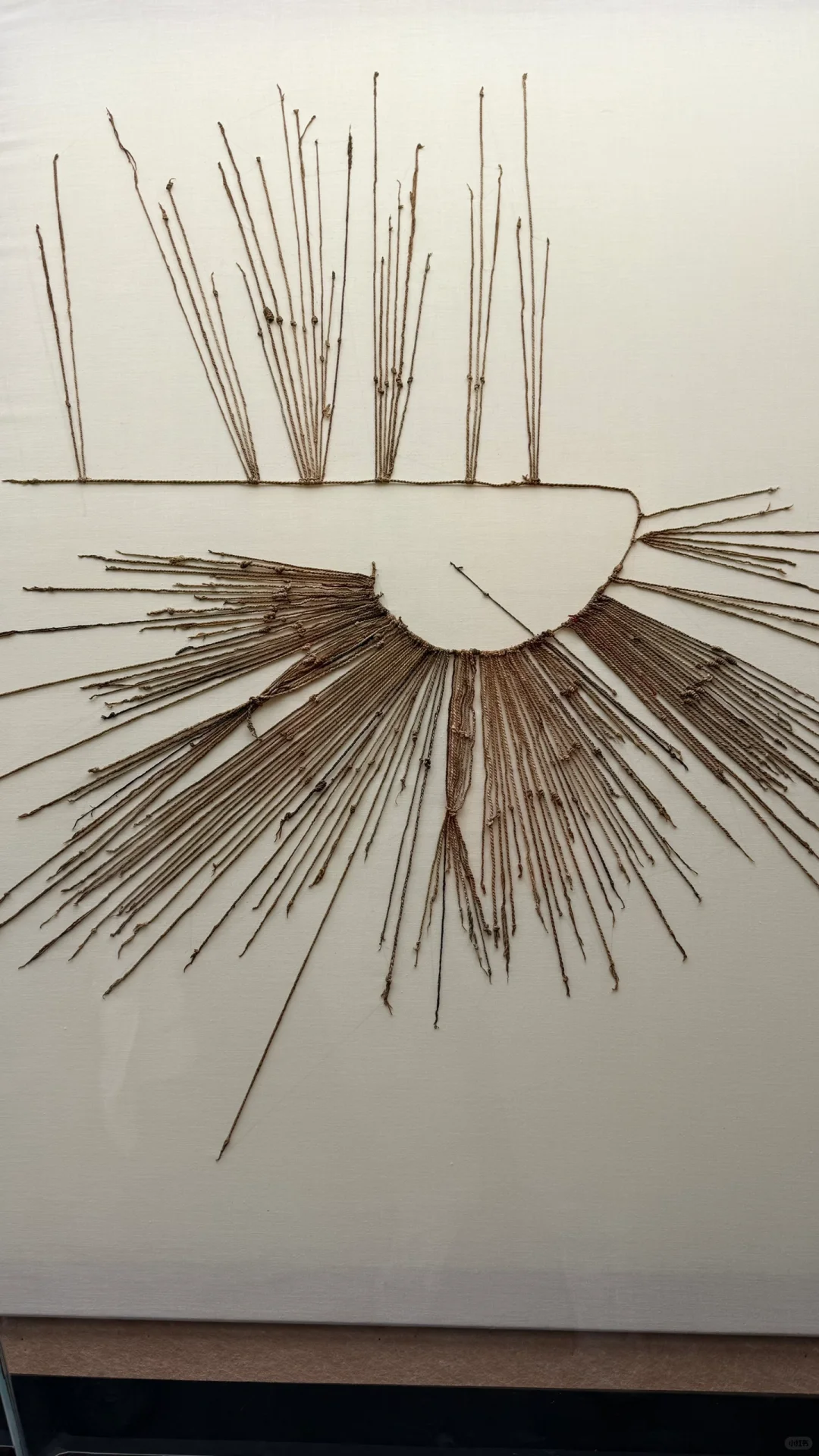 探秘省博新展，邂逅神秘与浪漫