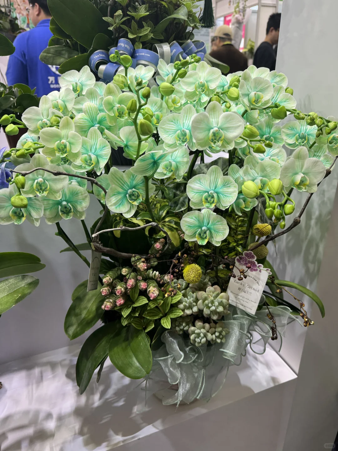 国际花卉园艺展览会，美