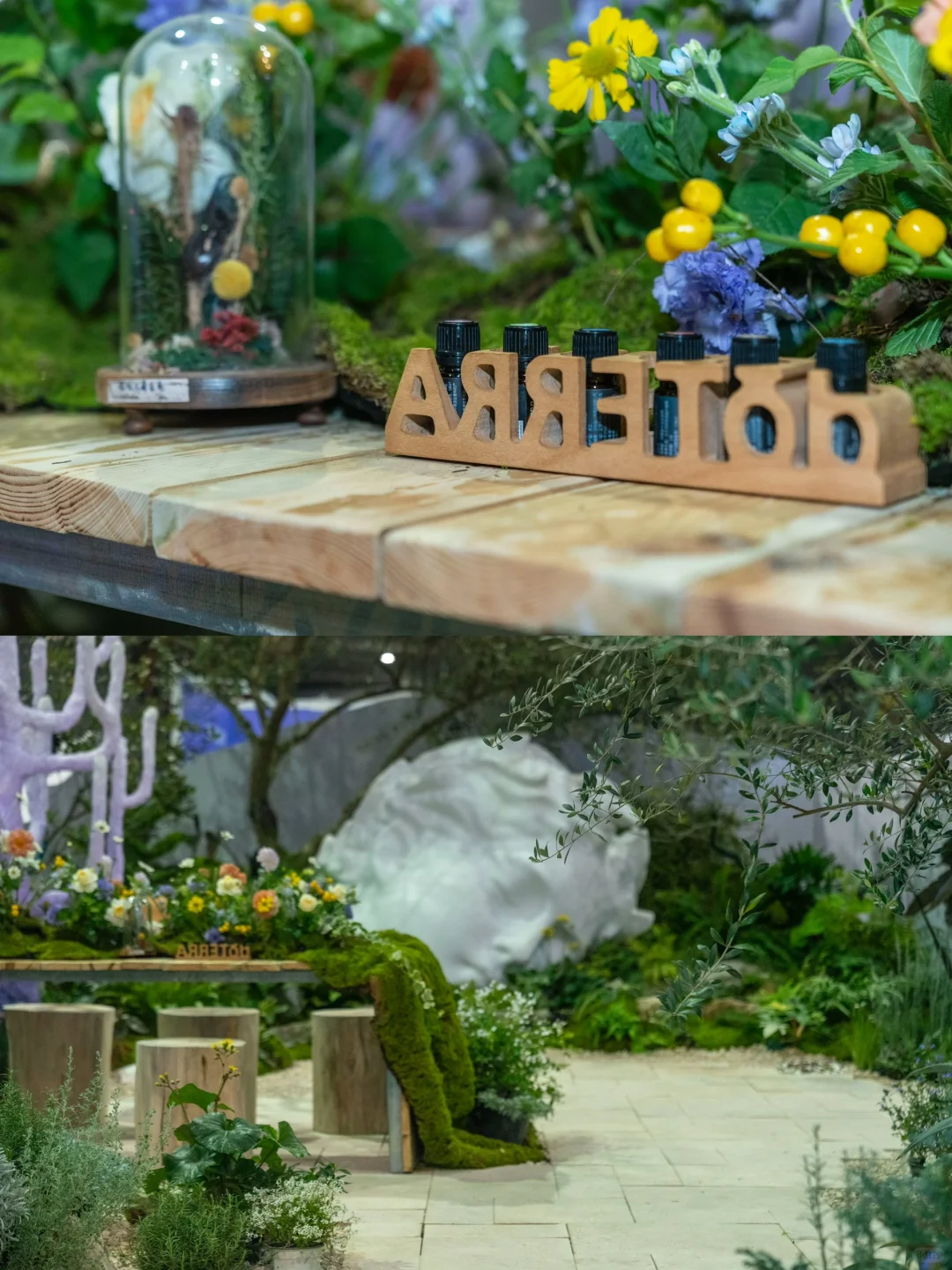 ??花园大会来啦 快来打卡绝美花海！??