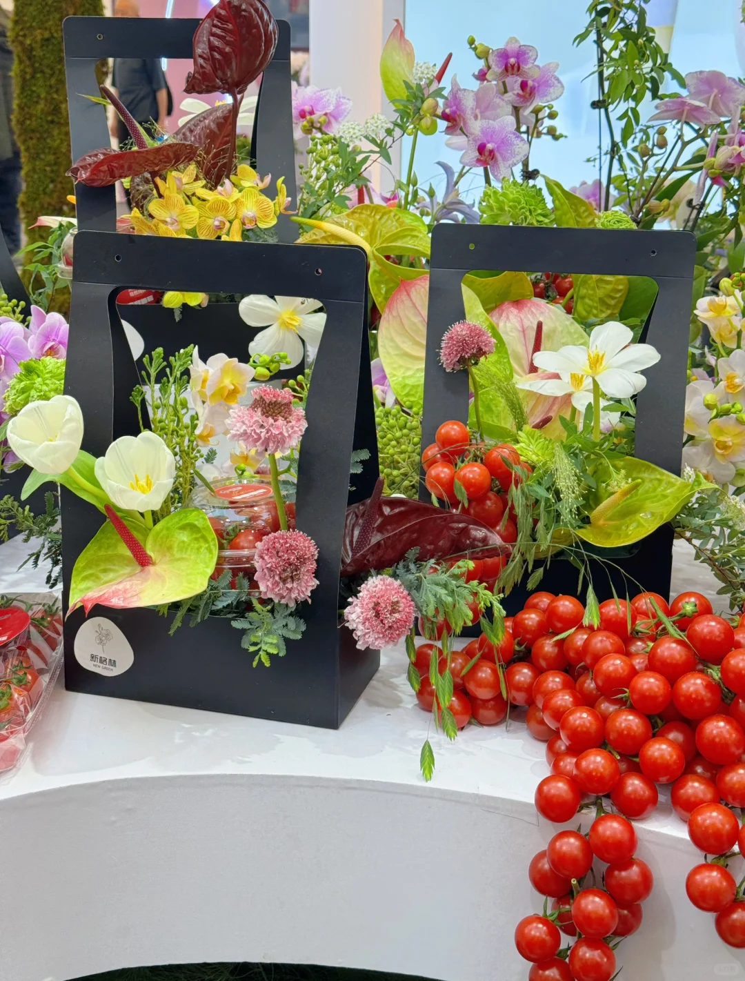 逛上海国际花展收获，附打卡攻略✅