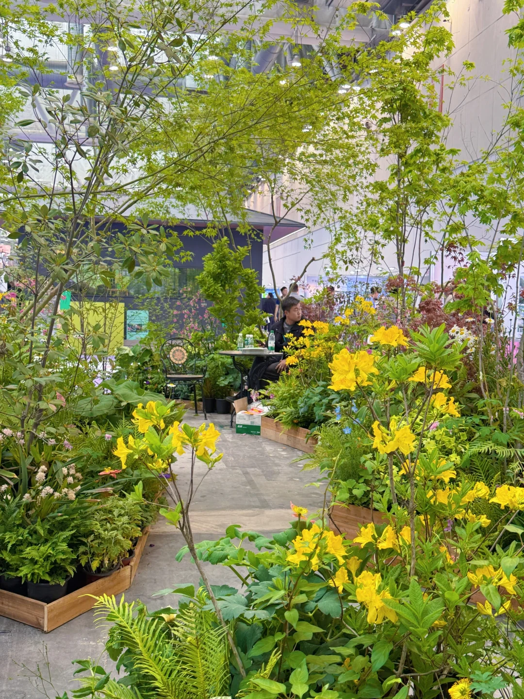 2025苏州花园展会！你们最喜欢哪个呢