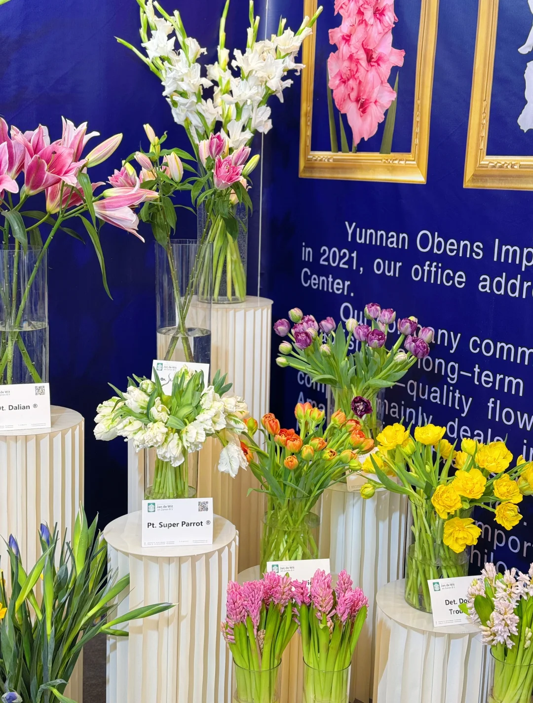 逛上海国际花展收获，附打卡攻略✅