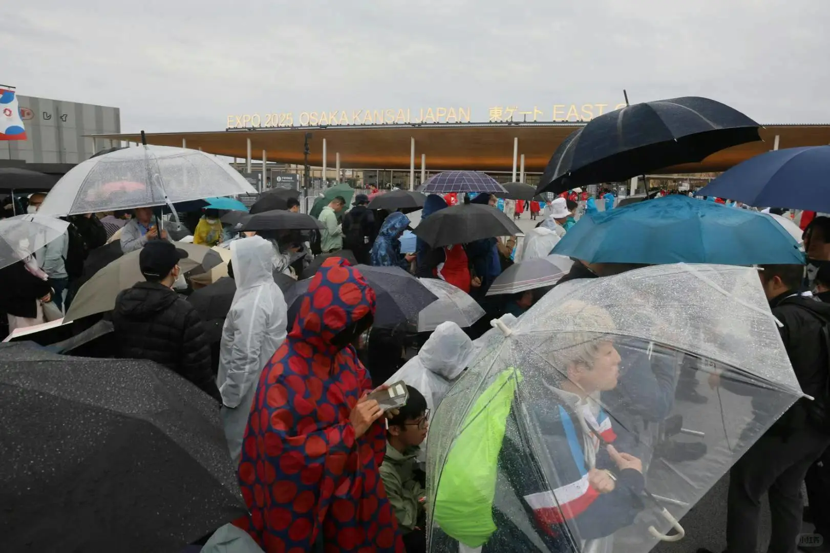 大阪·关西博览会于今日开幕