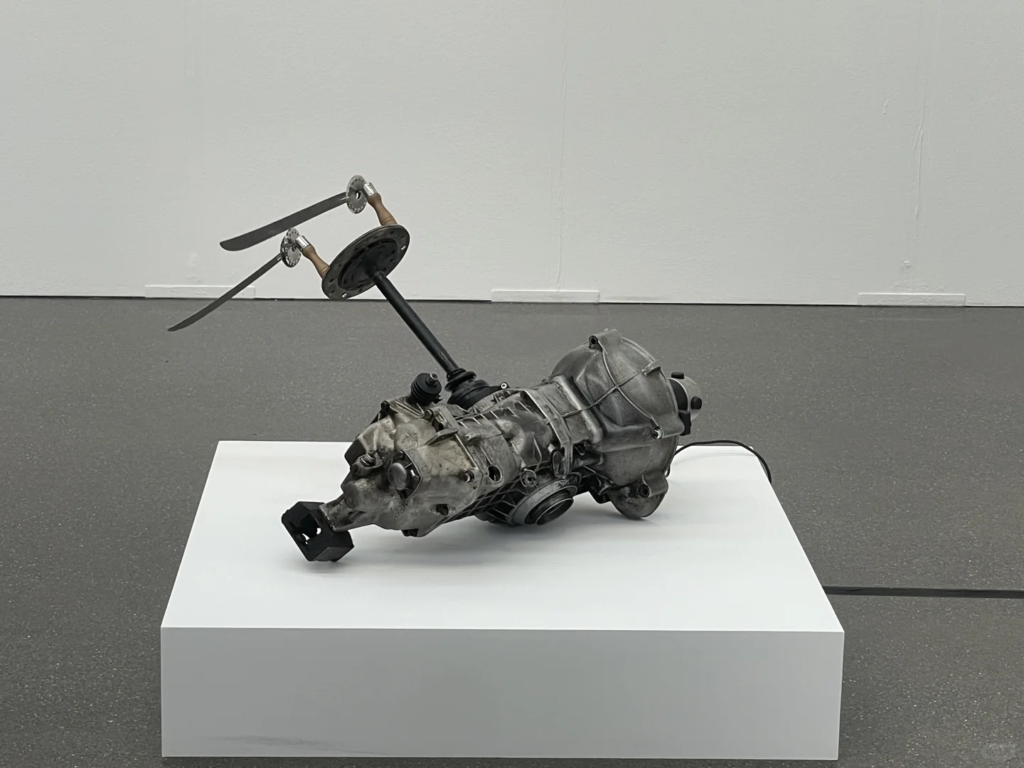 周末来看杜塞尔多夫艺术博览会｜2025 ☁️??