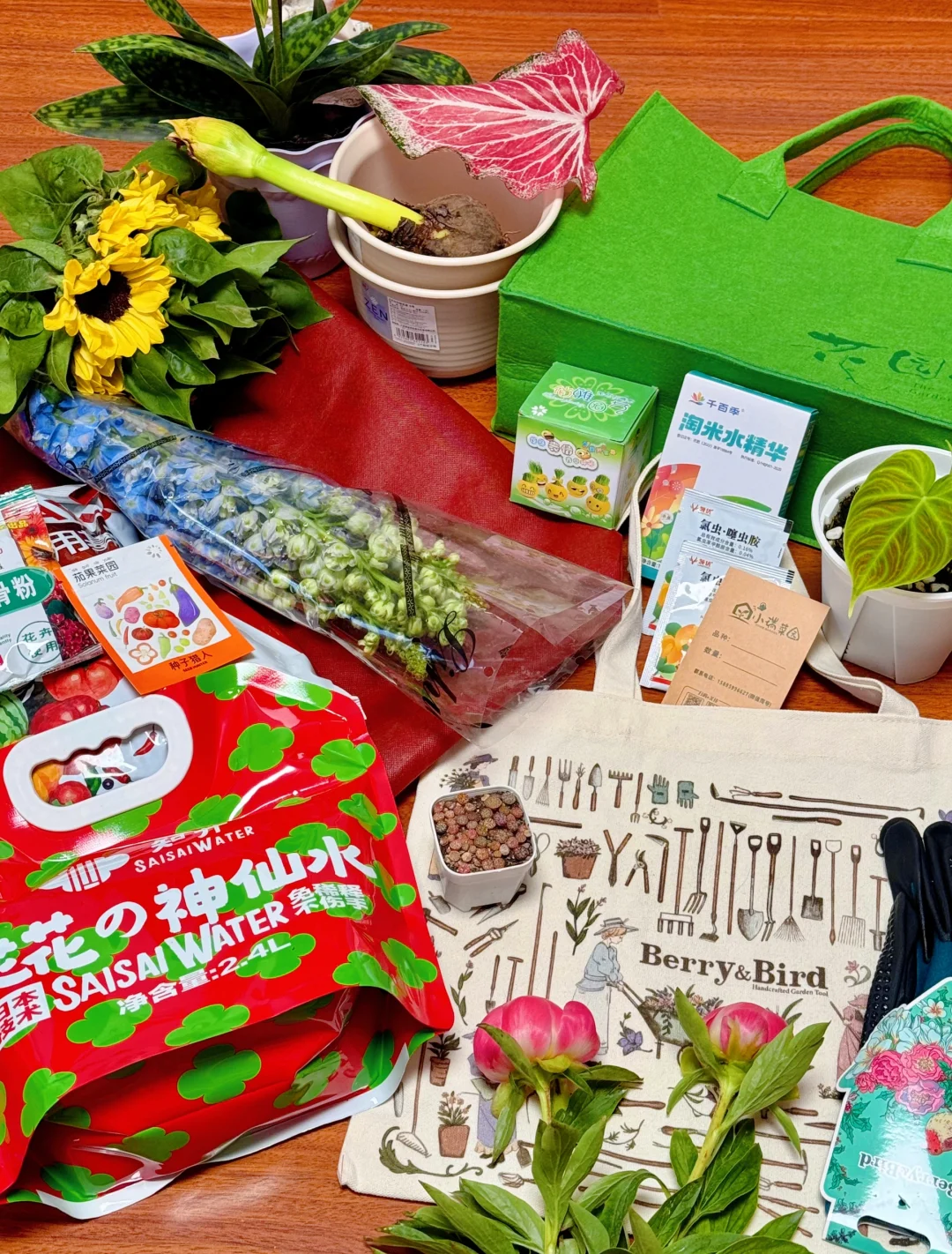 逛上海国际花展收获，附打卡攻略✅