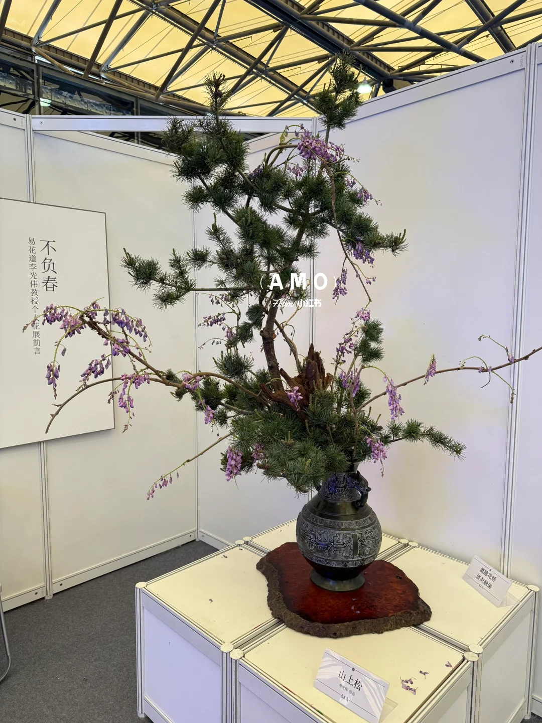 展会记录｜我在上海花展看到有意思的一些花