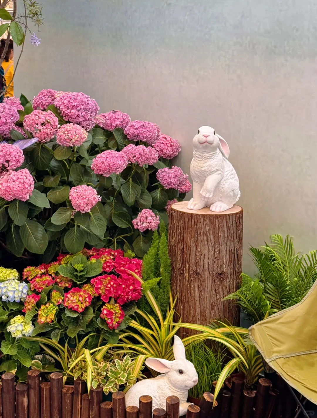 逛上海国际花展收获，附打卡攻略✅