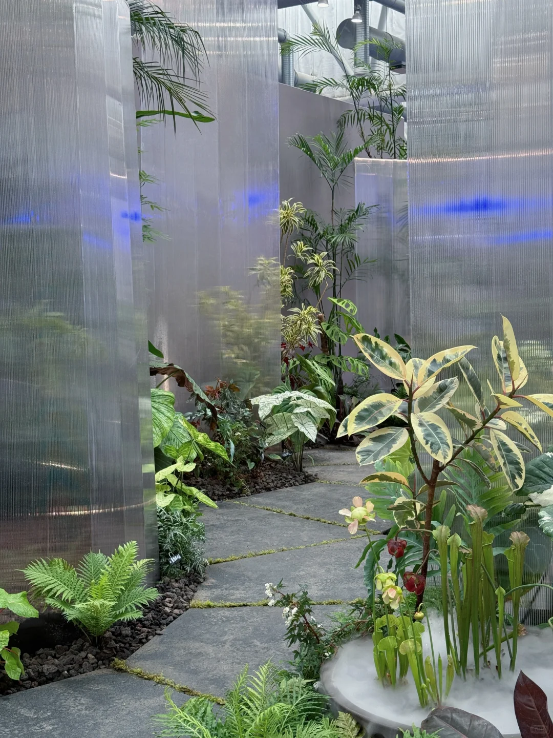 2025苏州花园展会！你们最喜欢哪个呢