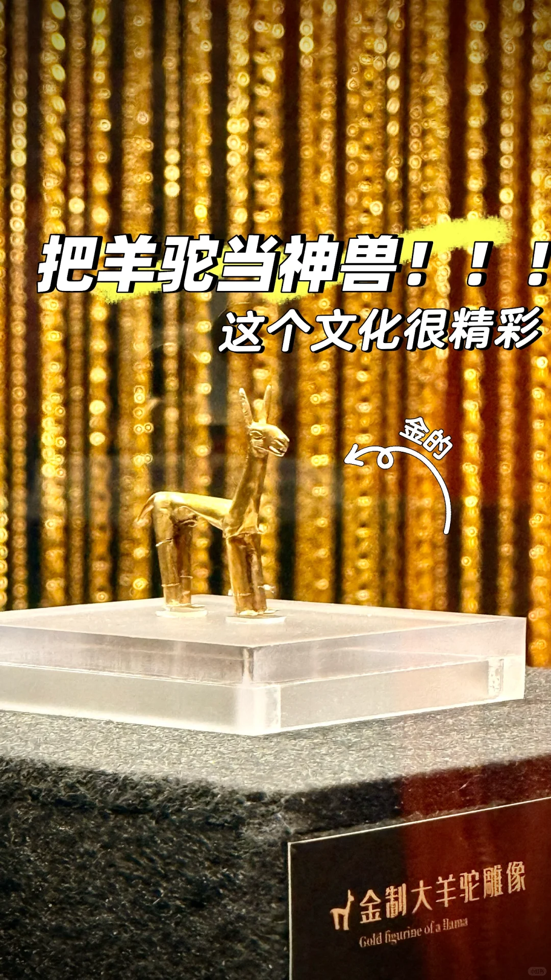 探秘省博新展，邂逅神秘与浪漫