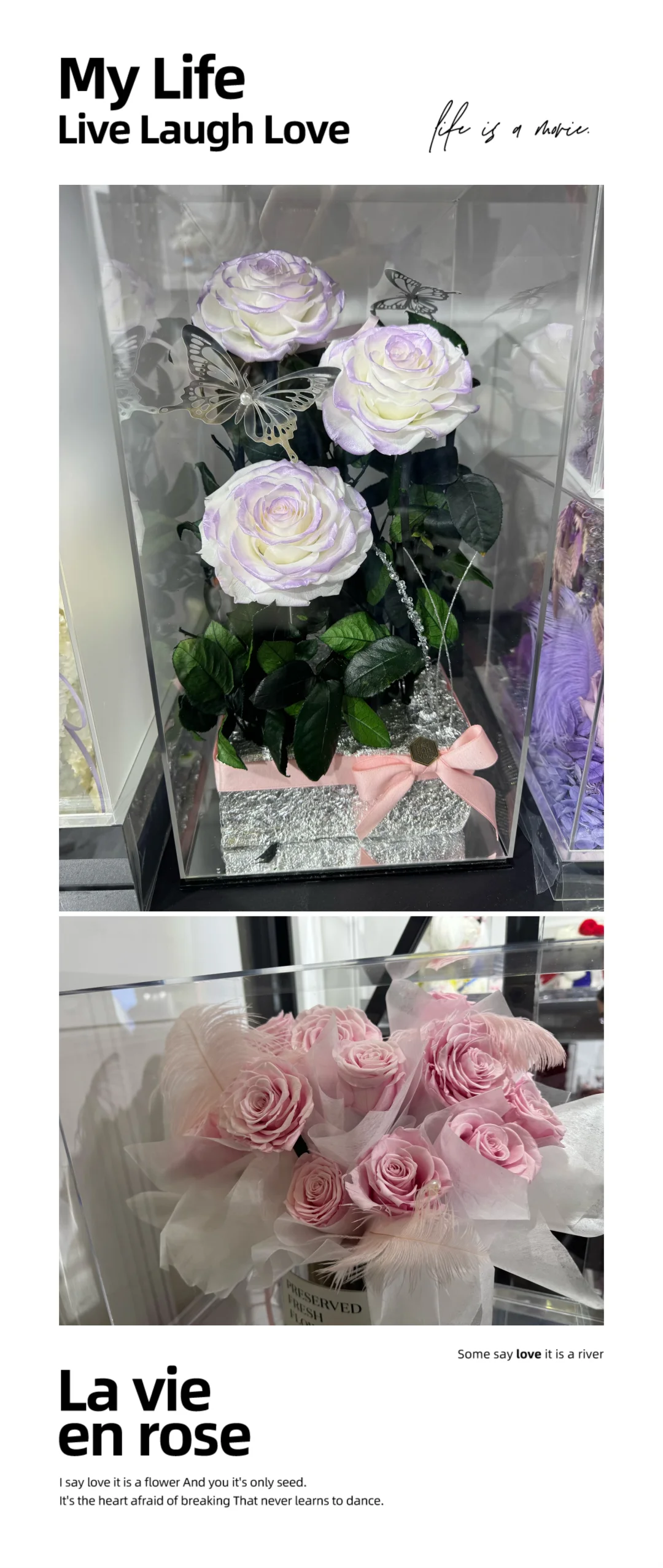 国际花卉园艺展览会，美