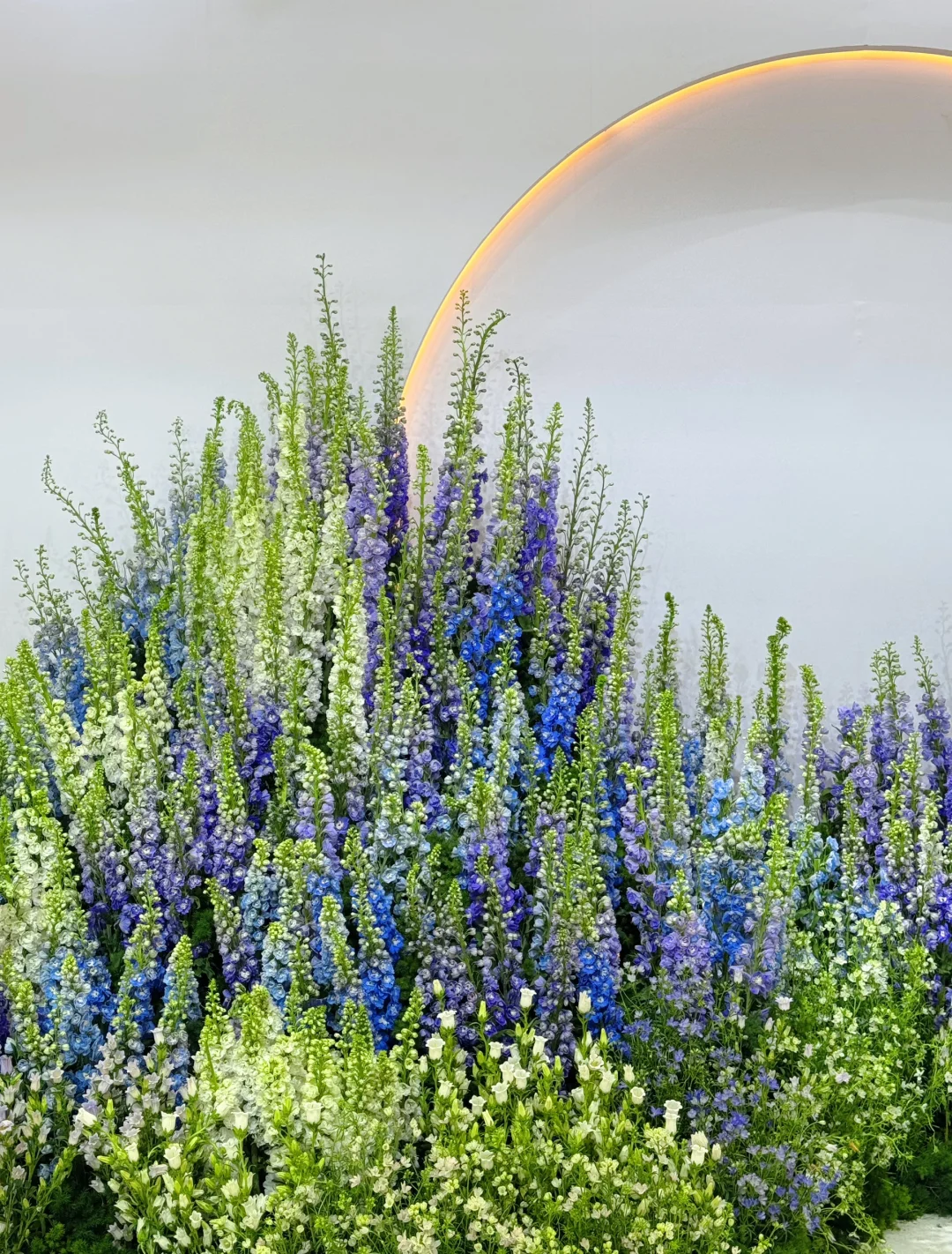 逛上海国际花展收获，附打卡攻略✅