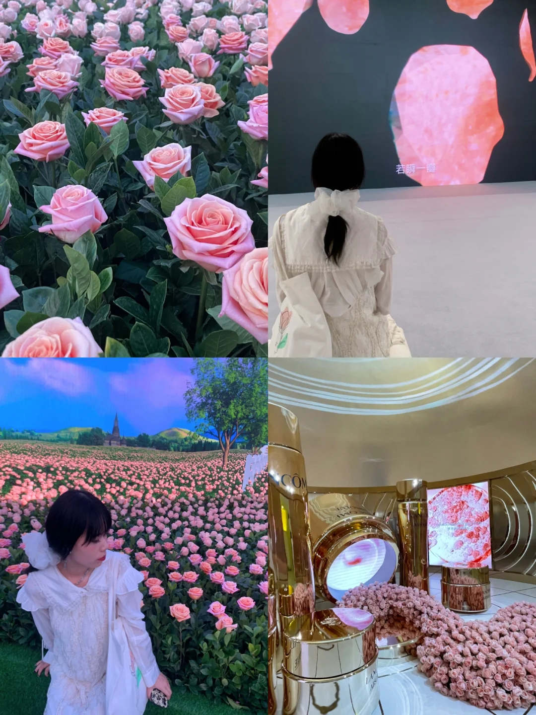 展览｜兰蔻艺术展「一瞬一生」