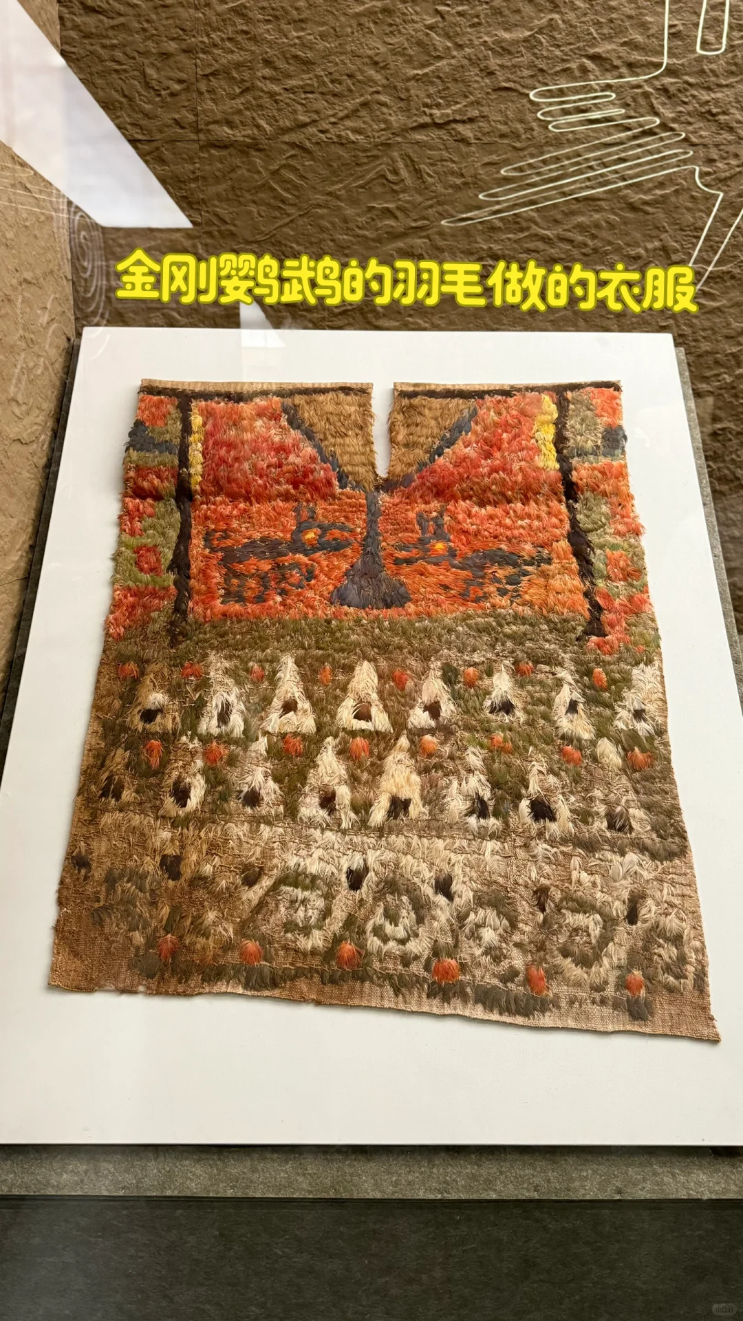 探秘省博新展，邂逅神秘与浪漫