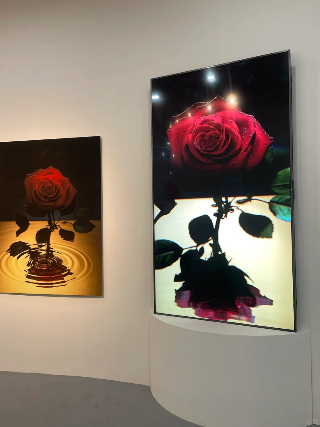 展览｜兰蔻艺术展「一瞬一生」