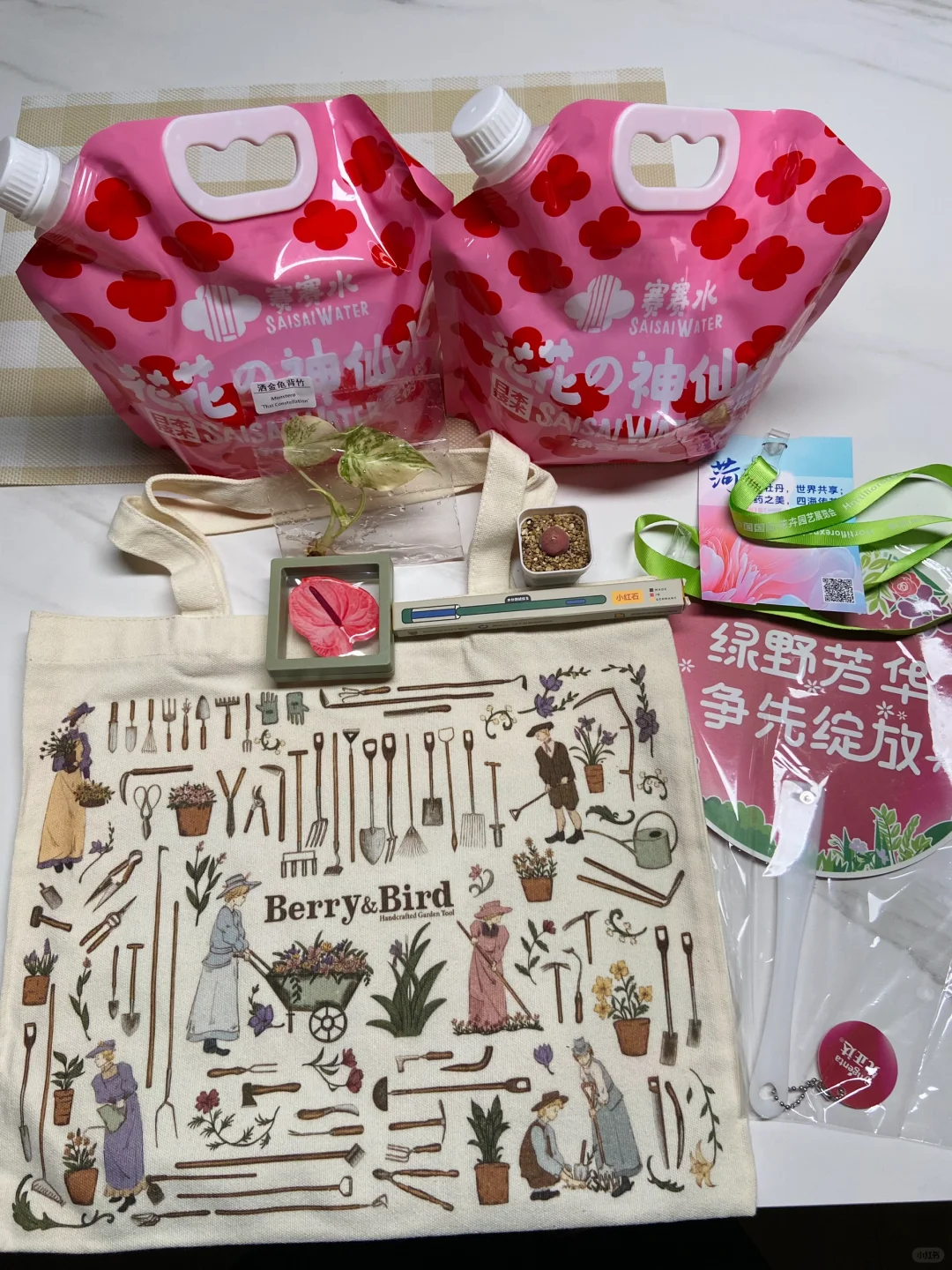 今日国际花卉展羊毛已累趴