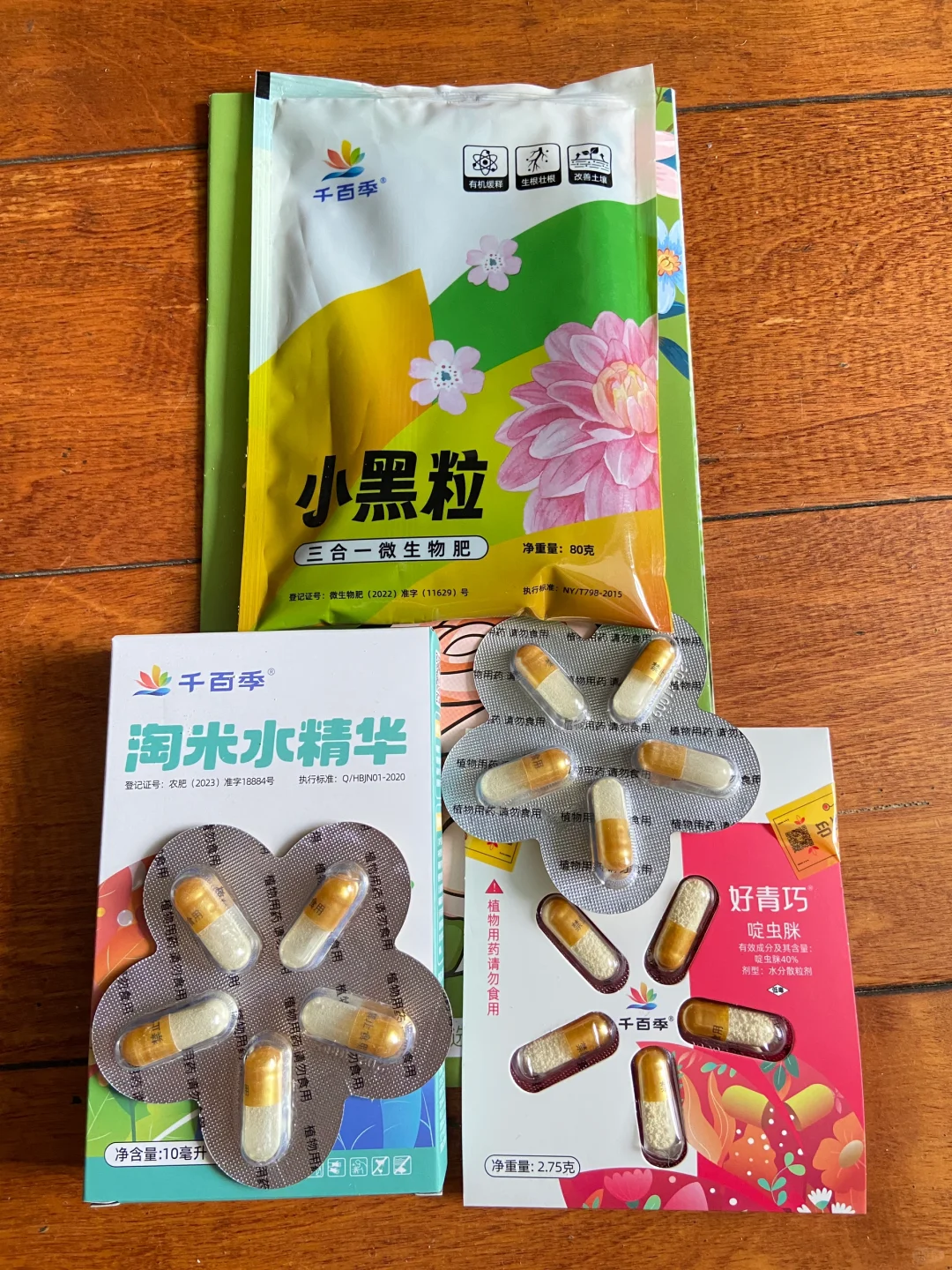 上海国际花卉展，羊毛去E1，买花草去E3&E4~