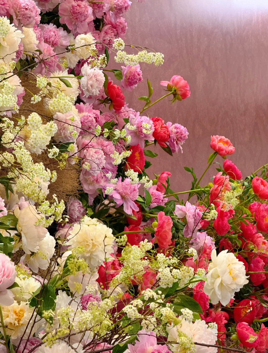 逛上海国际花展收获，附打卡攻略✅