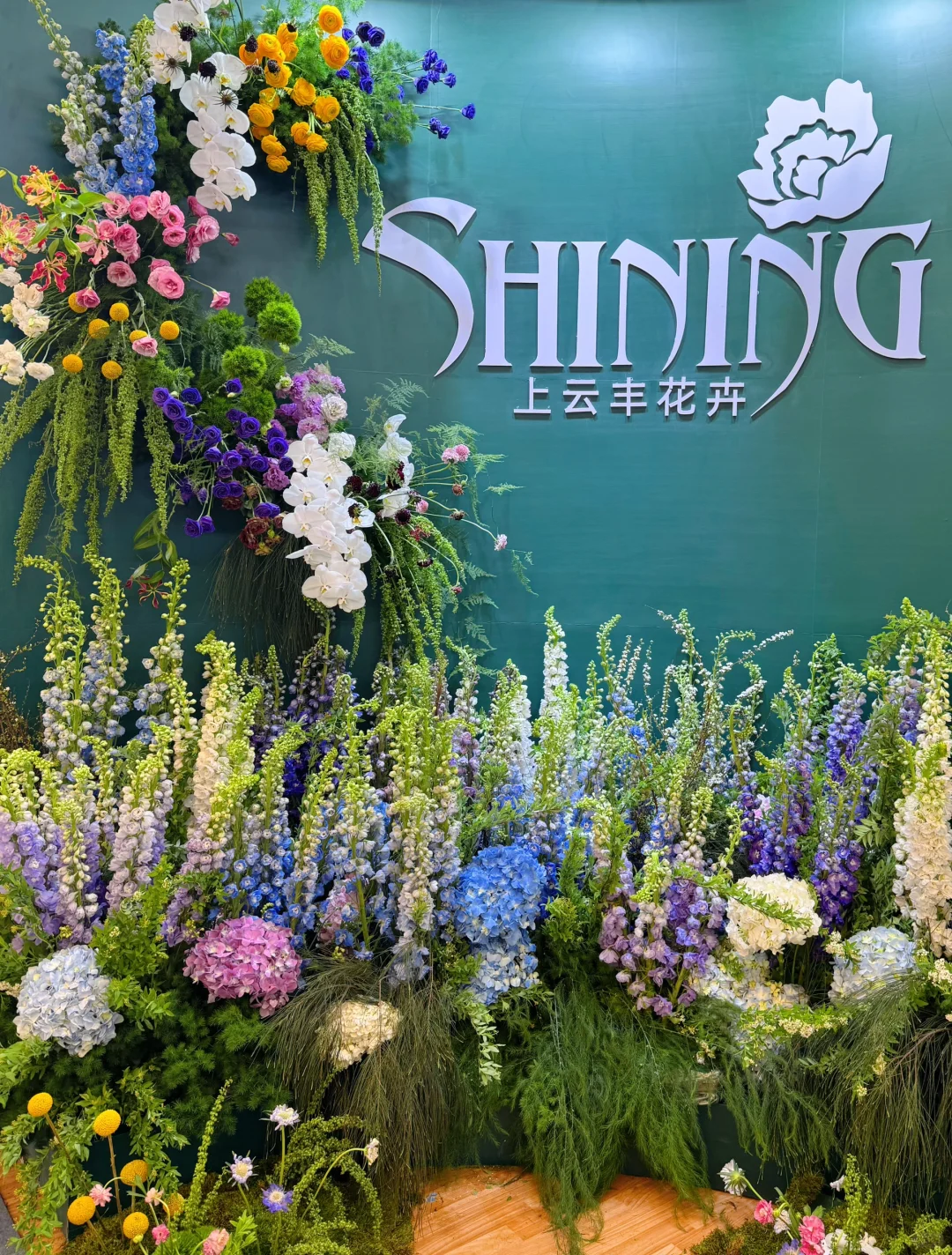 逛上海国际花展收获，附打卡攻略✅