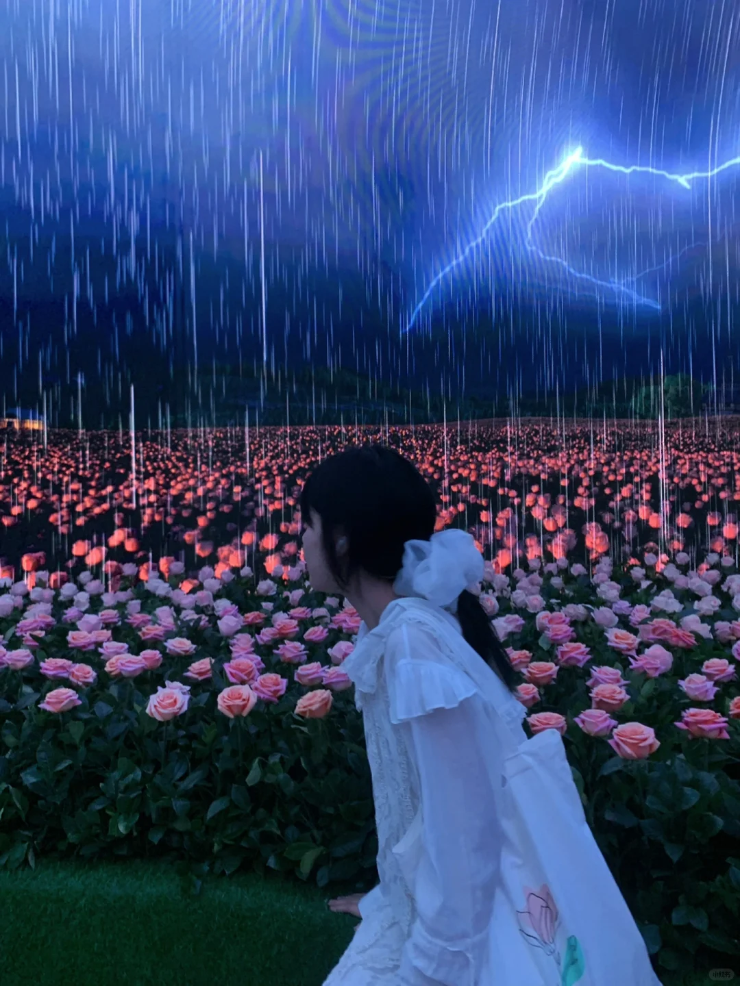 展览｜兰蔻艺术展「一瞬一生」