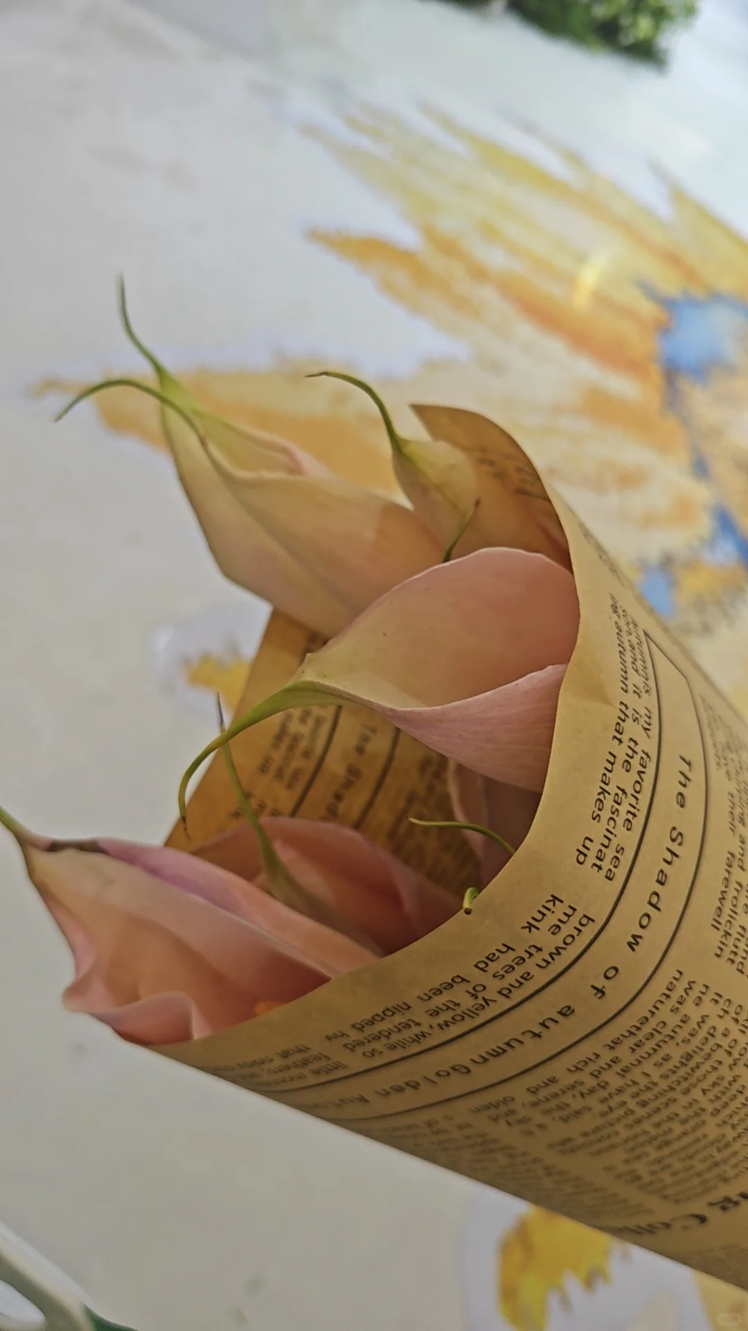 2025上海国际花展薅羊毛一览表