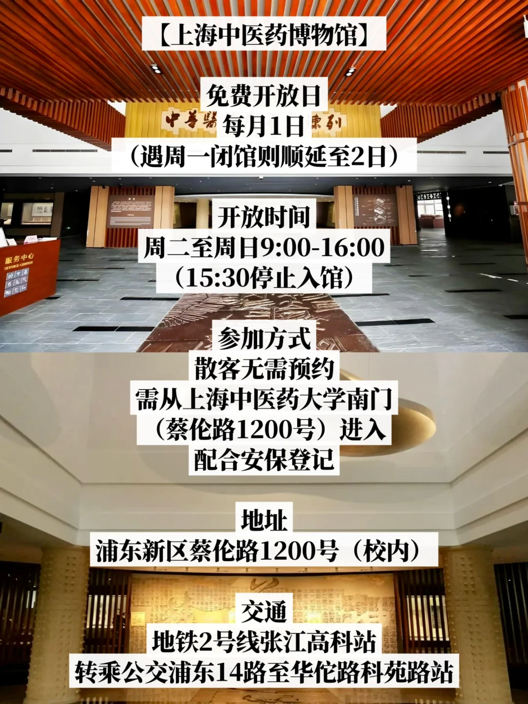 99%不知道‼️‼️上海各大展览每月免费开放日