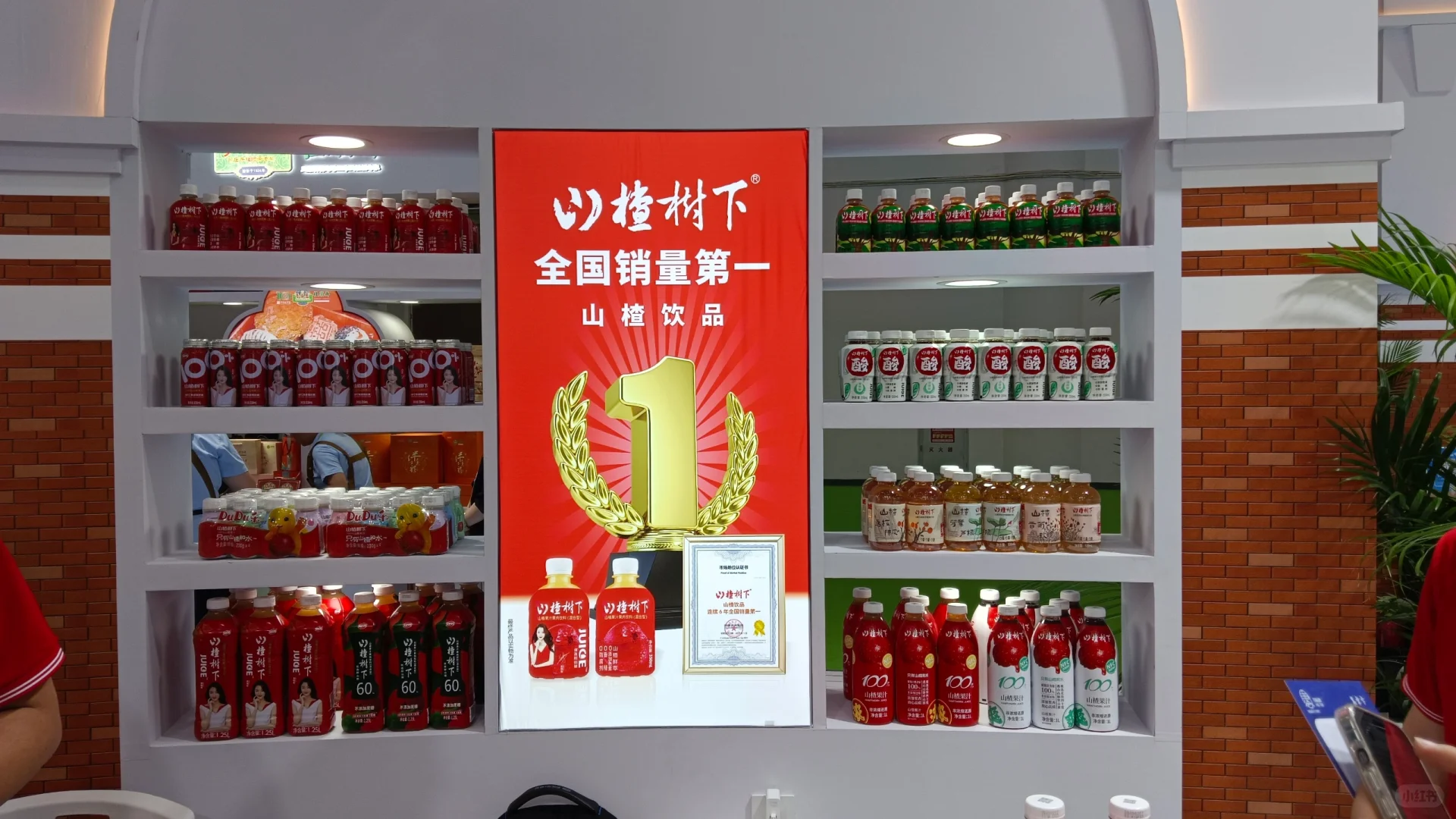 山楂树下2025年中国国际消费品博览会