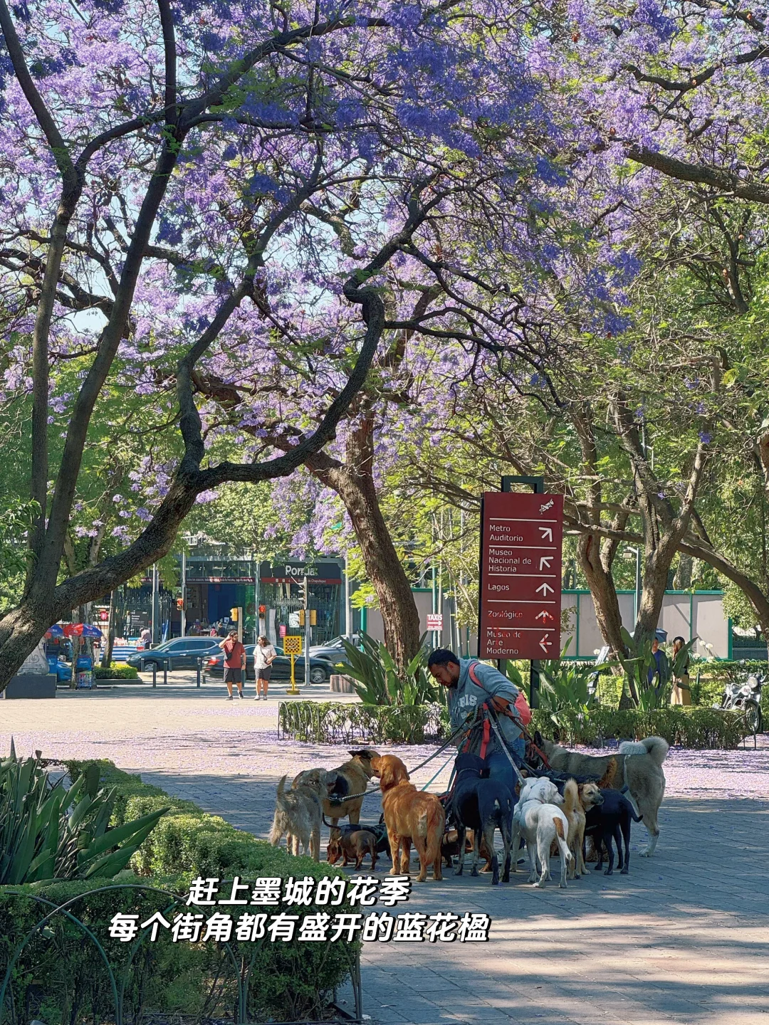 没人告诉我国外展会这么有趣呀?首战告捷