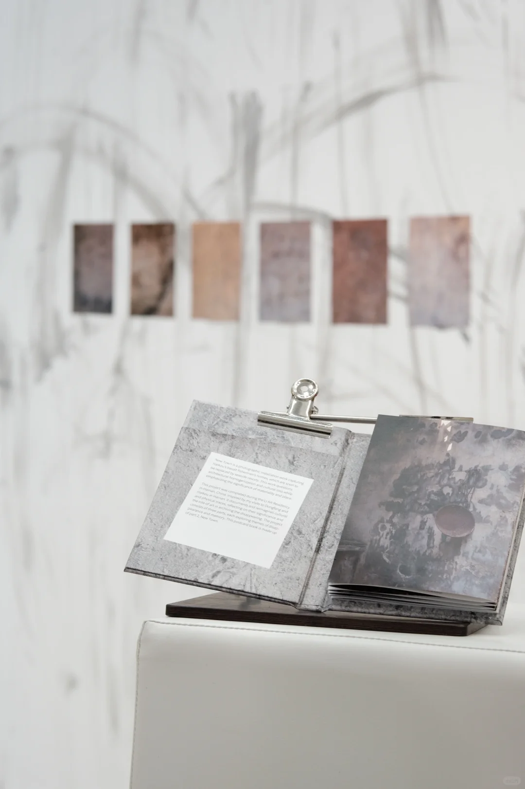 “消博会5号馆，我们有个展！”