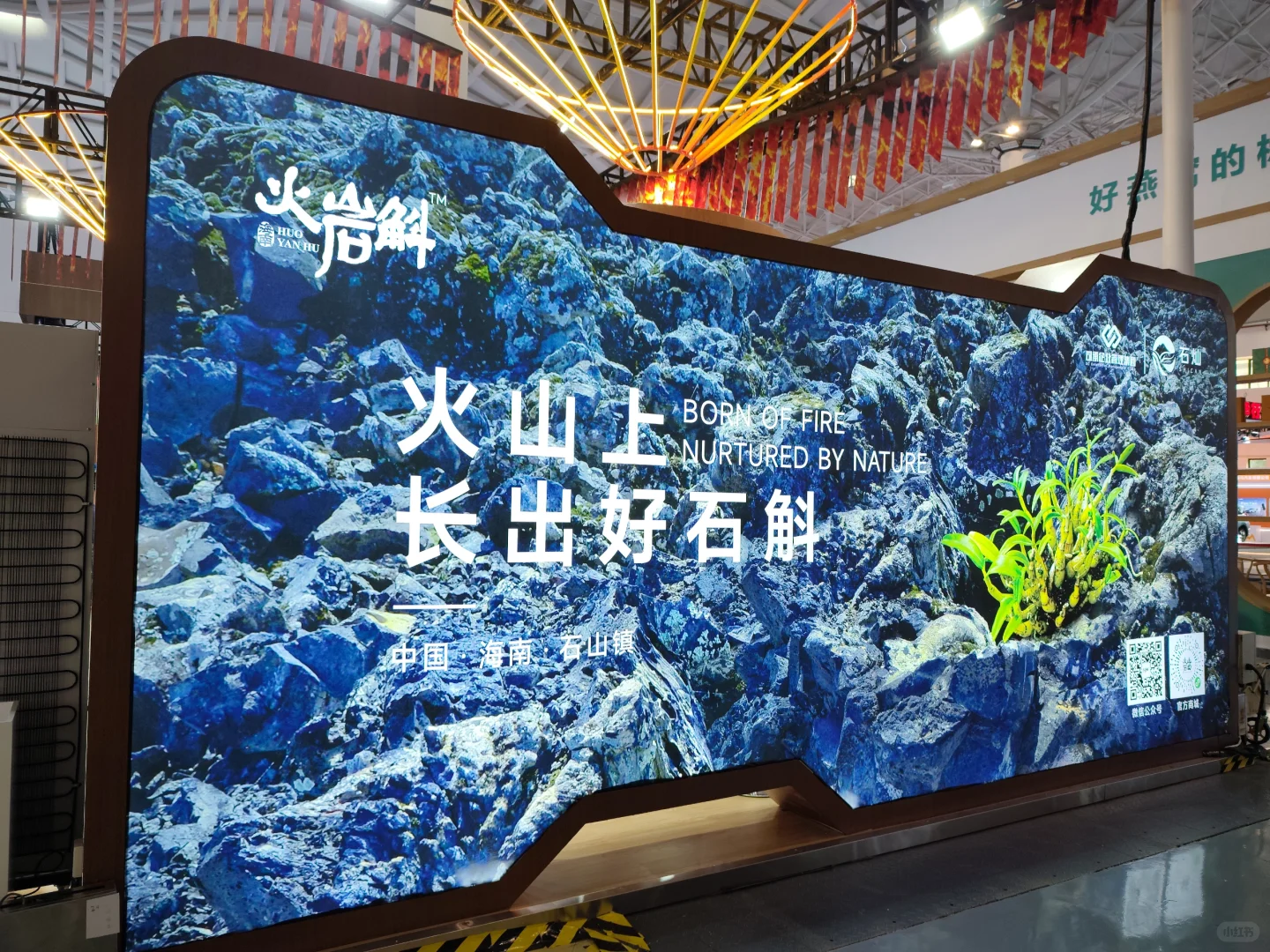 第五届中国国际消费品博览会丨正在进行时