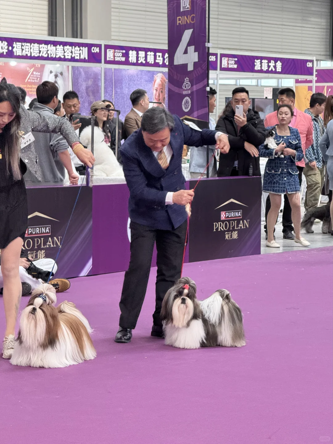 青岛亚太宠物展已回，哈哈哈哈哈哈哈哈