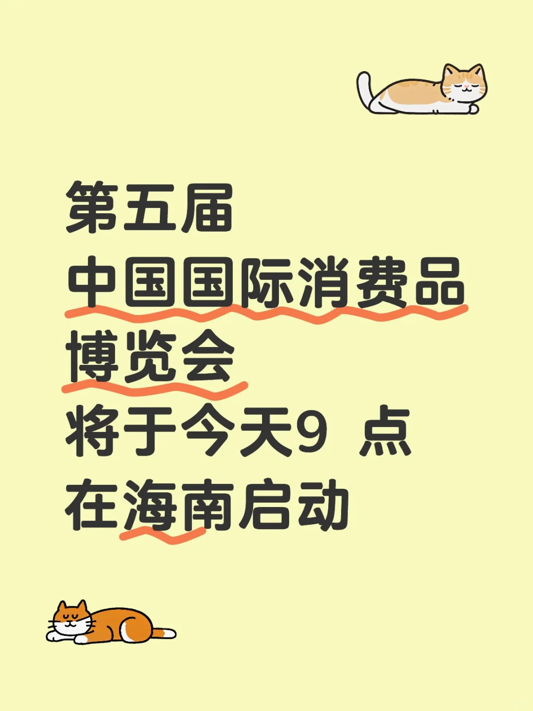 第五届中国国际消费品博览会终于开幕了！