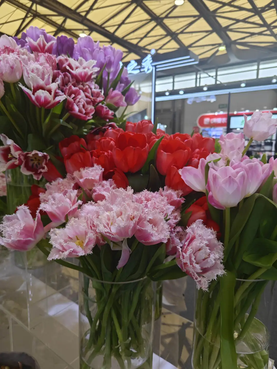 2025上海国际花展薅羊毛一览表