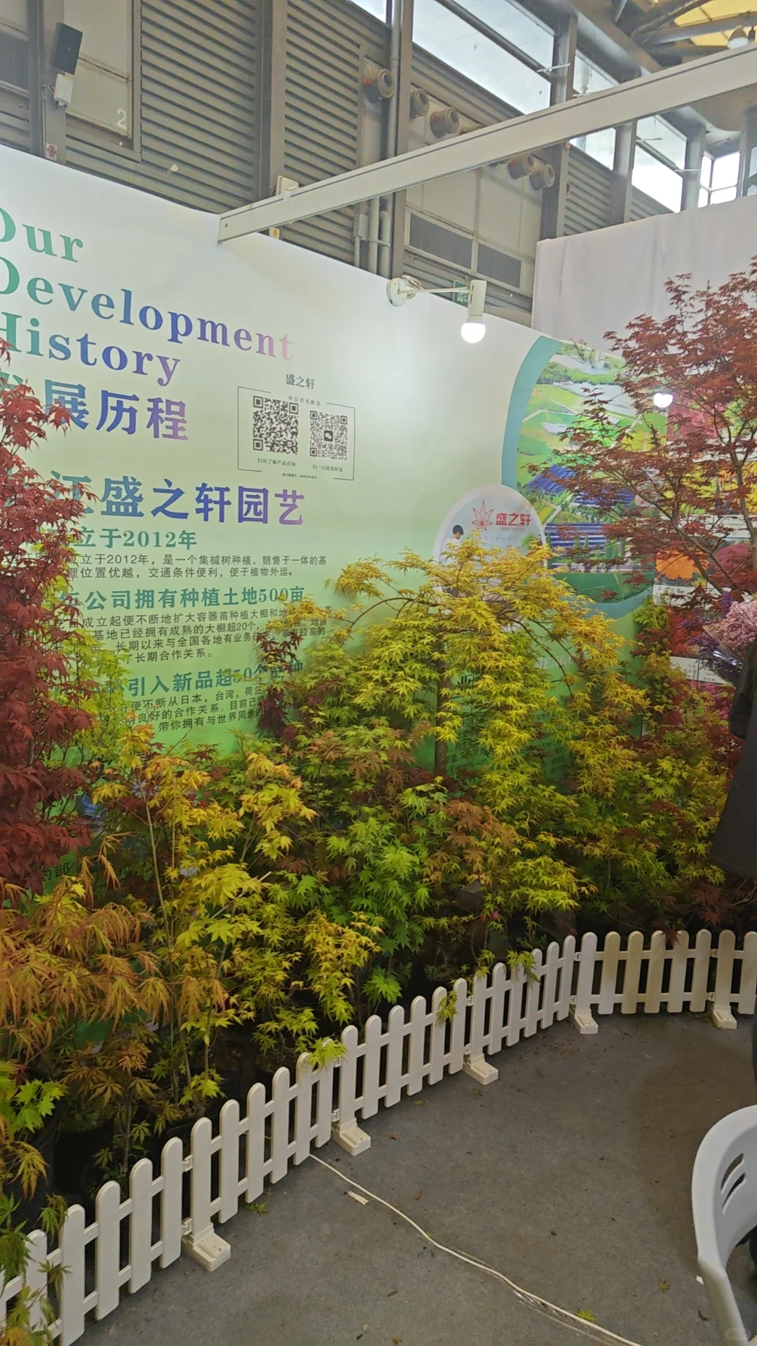 2025上海国际花展薅羊毛一览表