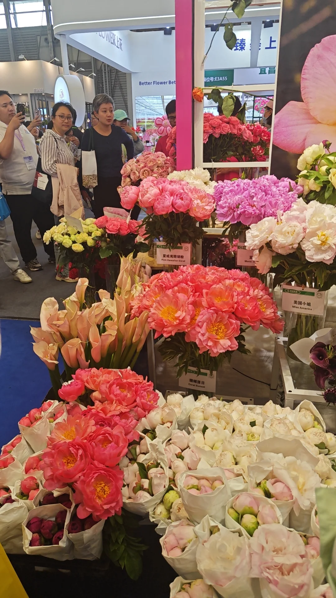 2025上海国际花展薅羊毛一览表