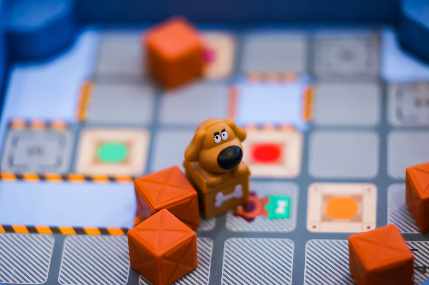 ?明年爆款被我提前发现了！