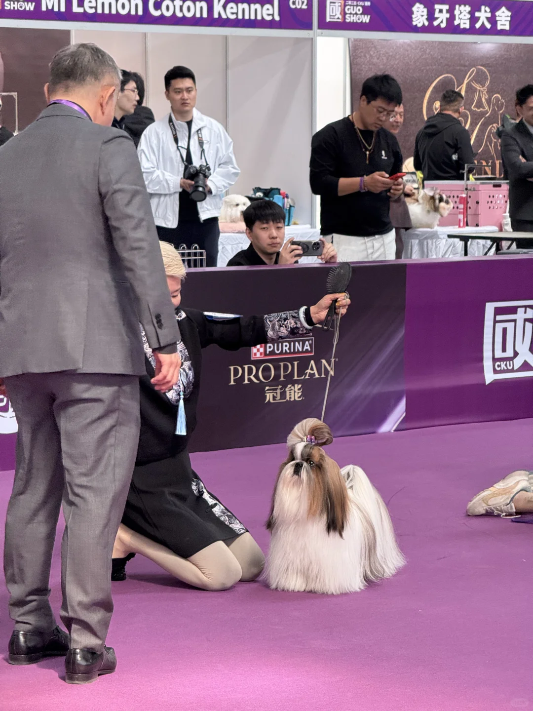 青岛亚太宠物展已回，哈哈哈哈哈哈哈哈