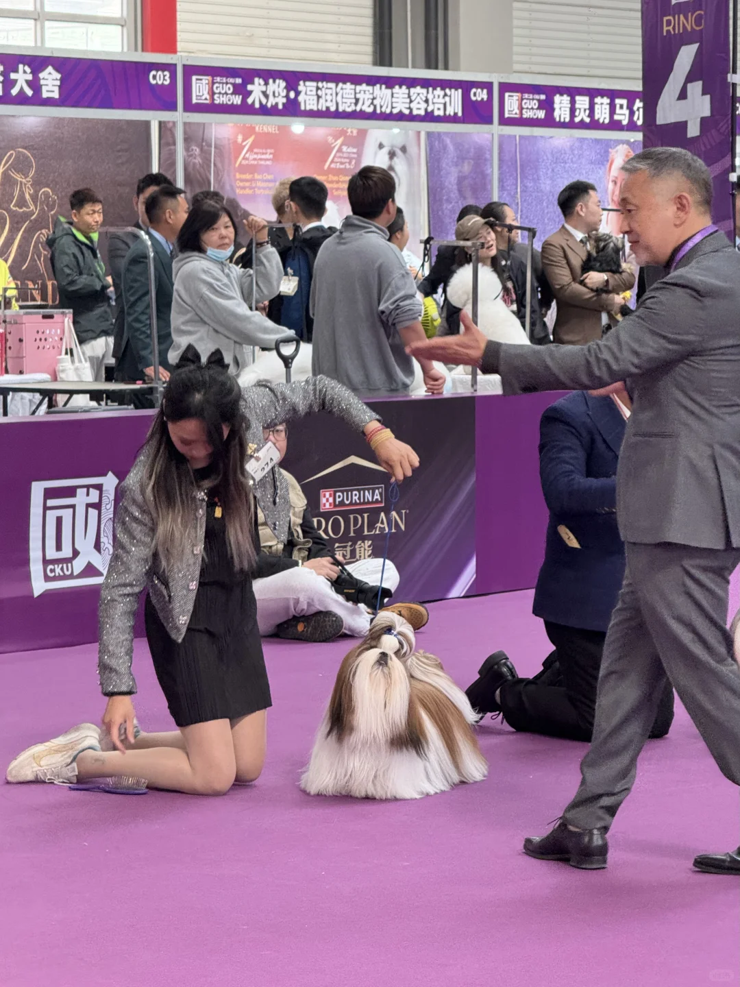 青岛亚太宠物展已回，哈哈哈哈哈哈哈哈