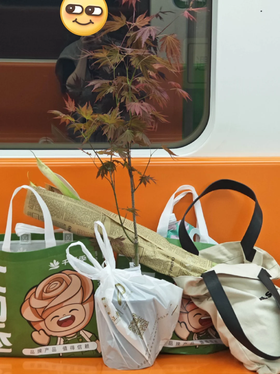 2025上海国际花展薅羊毛一览表