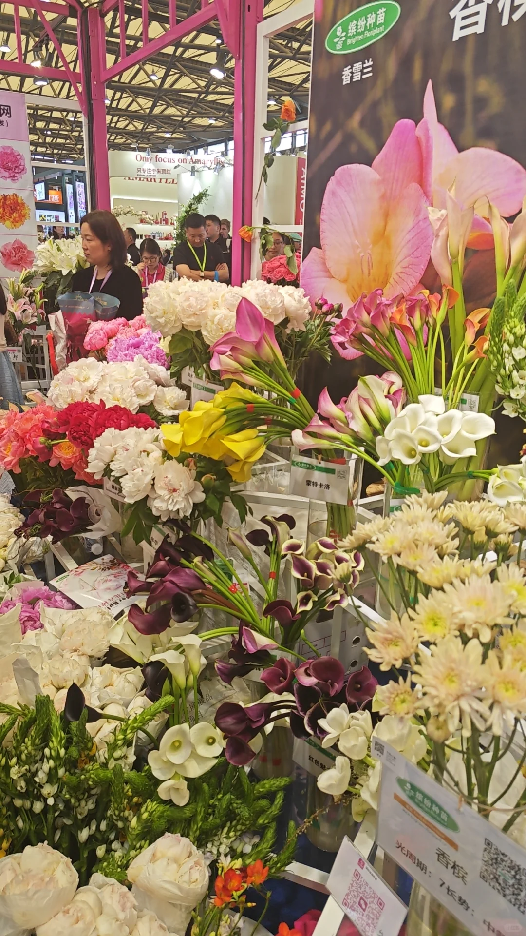 2025上海国际花展薅羊毛一览表