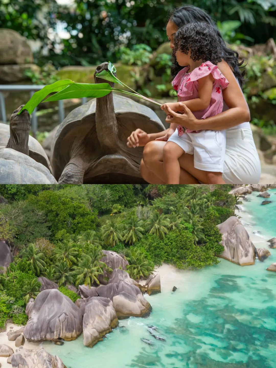 就在上海❗️2025ITB旅游展，旅游人的行业盛宴