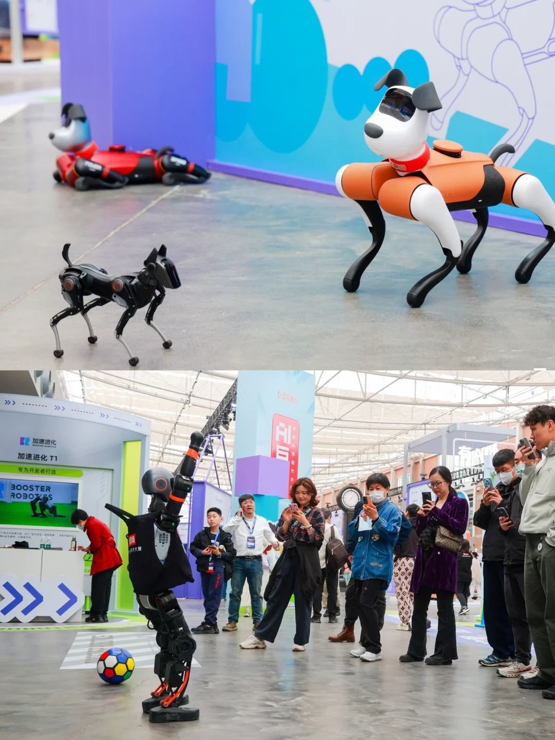 北京AI大展实探?直观感受热门行业前沿