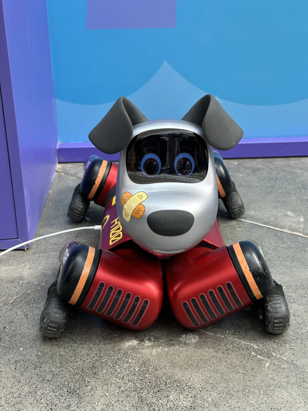 北京AI首展看到了！太酷了！