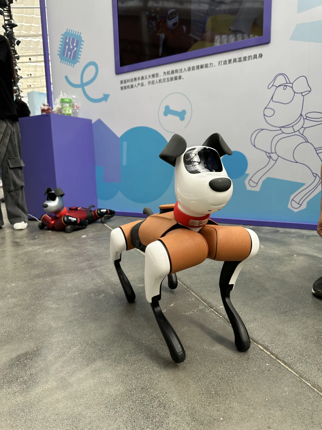 北京AI首展看到了！太酷了！