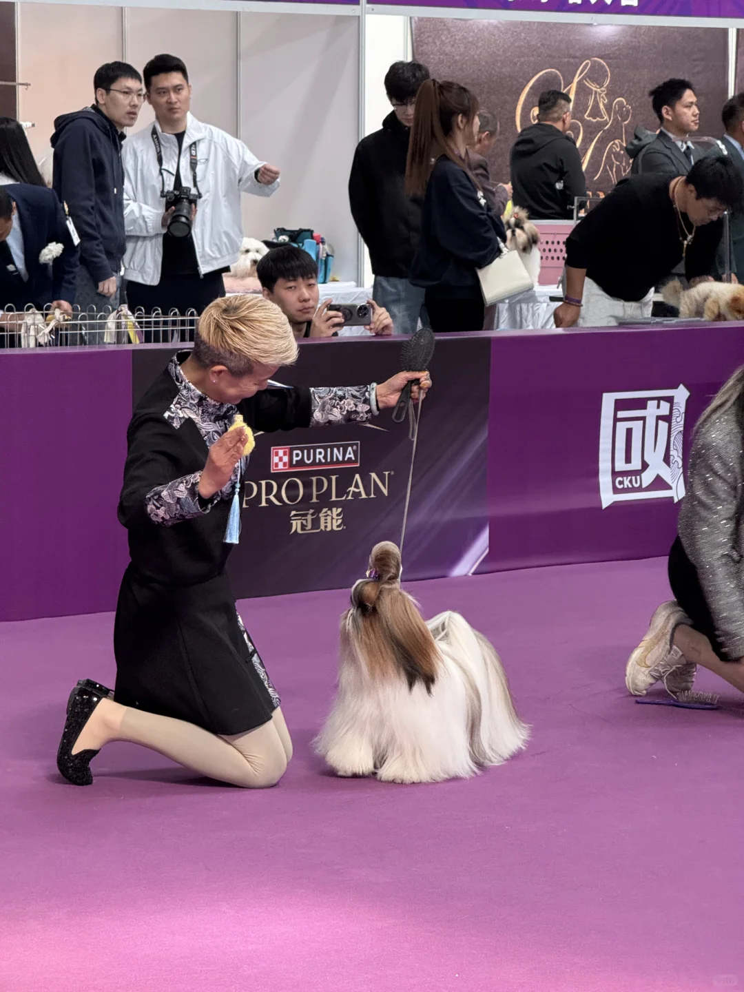青岛亚太宠物展已回，哈哈哈哈哈哈哈哈
