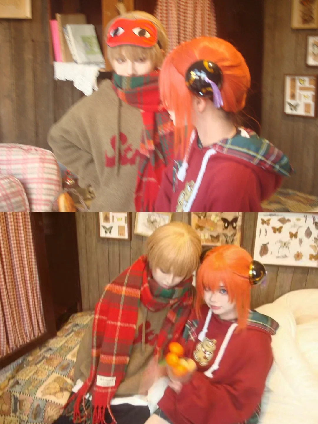 已满❗️停互❗️金陵青年文化博览会