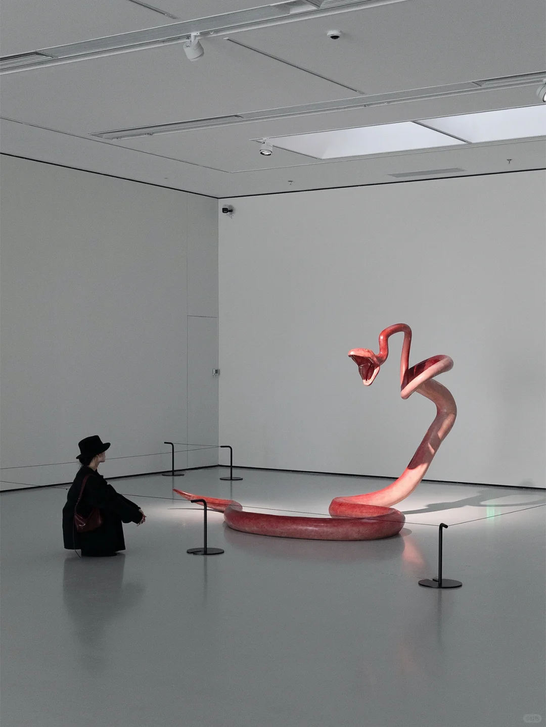 ✨广州新展丨不能错过的年度大展！好看又好拍