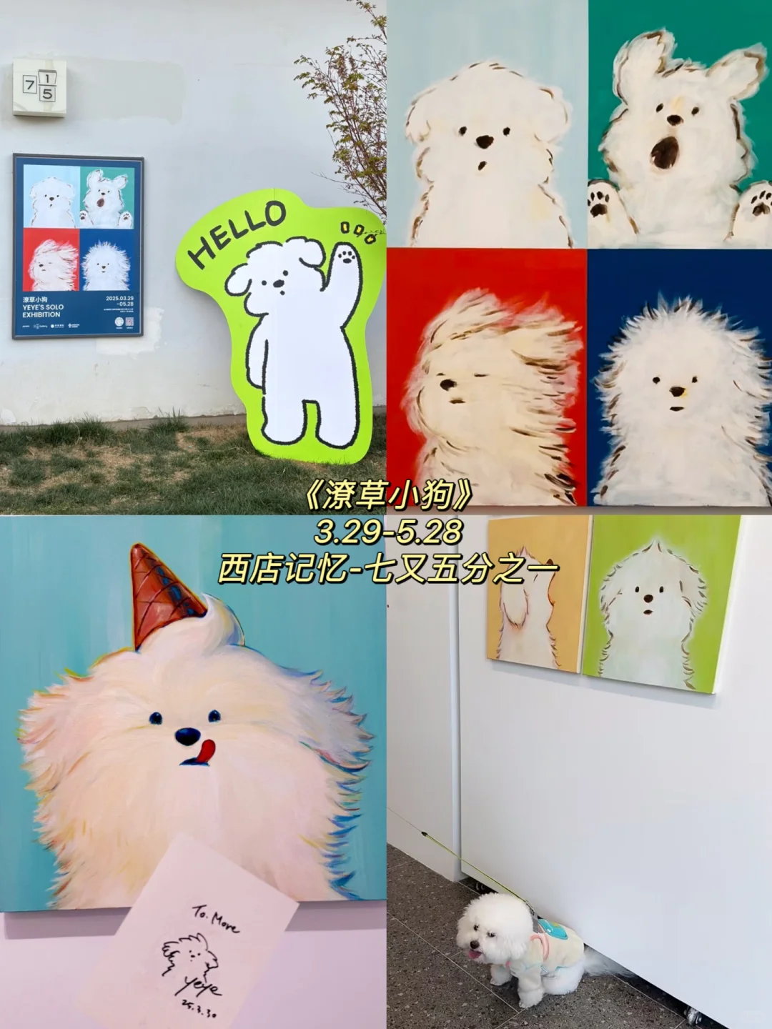 ?4~5?️不容错过的宝藏展✅码住慢慢看