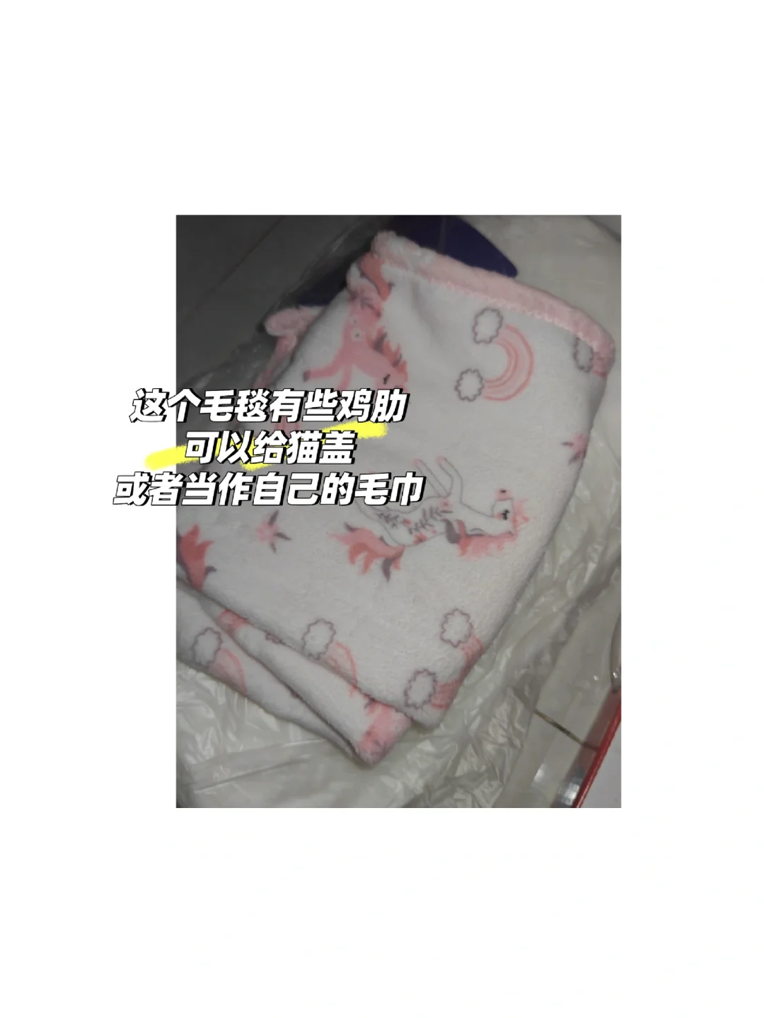 不会还有人没去薅婚博会的羊毛吧